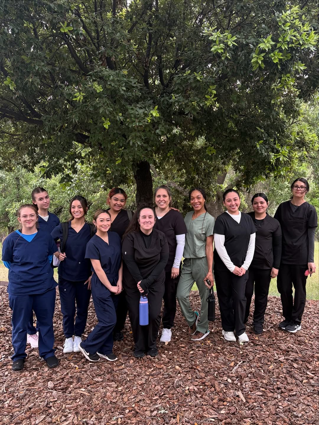 Roseville Dental Academy Instagram photo 3